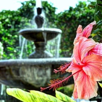 Courtyard by Marriott Bradenton Sarasota/Riverfront Thumbnail