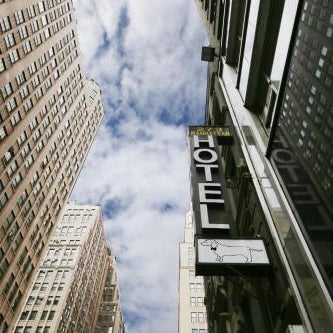 Doxie Hotel Thumbnail