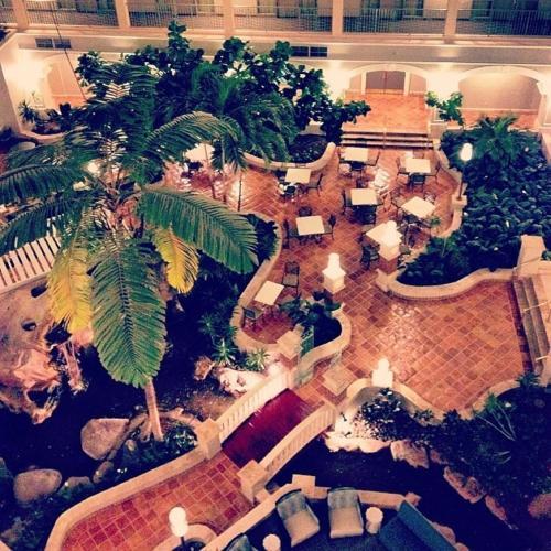 Sheraton Suites Fort Lauderdale At Cypress Creek Thumbnail