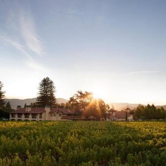 Napa Valley Lodge Thumbnail