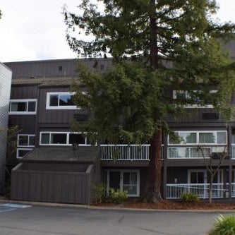 Best Western Plus Inn At The Vines Thumbnail