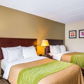Comfort Inn Washington Dulles International Thumbnail