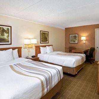 La Quinta Inn & Suites by Wyndham San Antonio Market Square Thumbnail