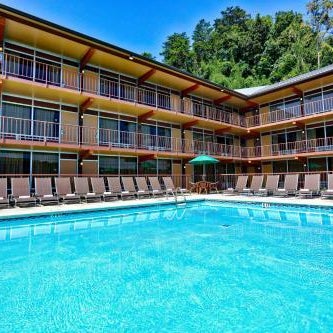 Wild Bear Inn Thumbnail
