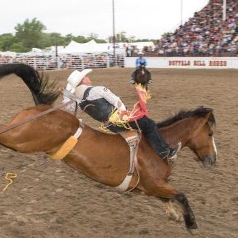 Holiday Inn Express & Suites North Platte by IHG Thumbnail