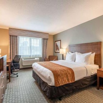 Comfort Inn & Suites Thumbnail