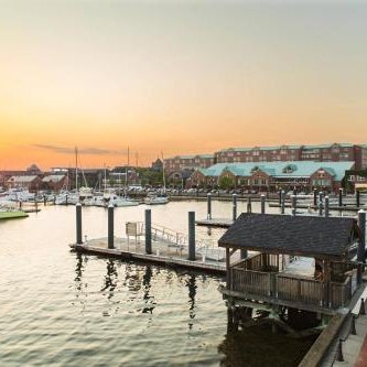 Newport Marriott Hotel & Spa Thumbnail