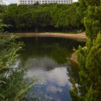 Renaissance by Marriott Austin Hotel Thumbnail