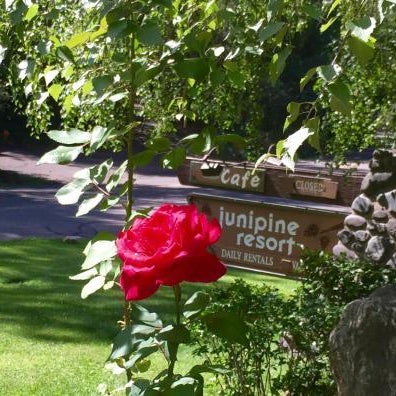 Junipine Resort Thumbnail