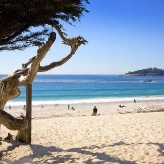 Hyatt Carmel Highlands Thumbnail