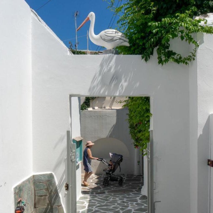 Pelican Paros