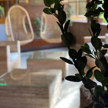 Hotel Jakue