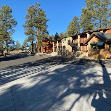 Motel In The Pines Thumbnail