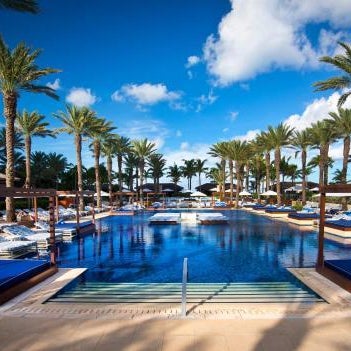 The Cove at Atlantis Thumbnail