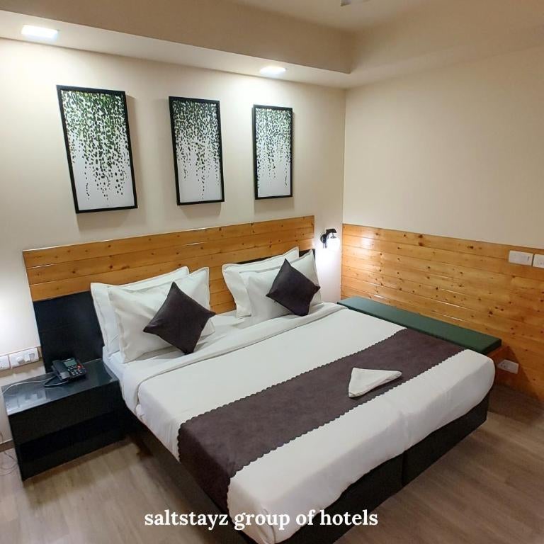 Saltstayz Select - Nehru Place & New Friends Colony