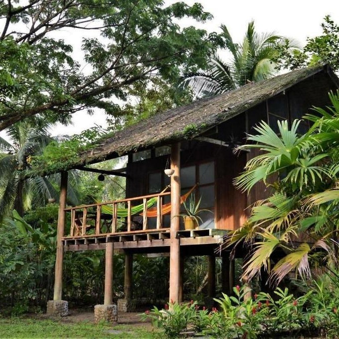 Jardín Botánico del Pacífico y Mecana Ecohotel Thumbnail