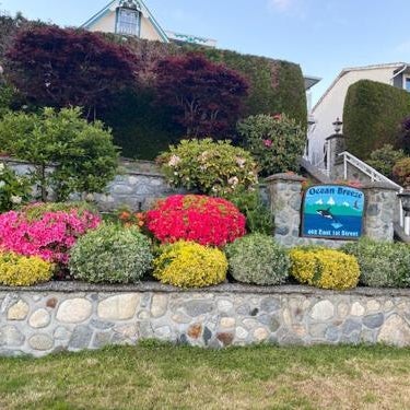 Ocean Breeze Executive Bed and Breakfast Thumbnail