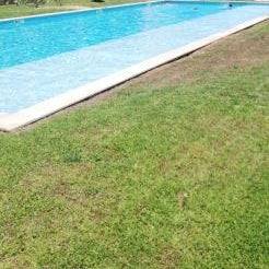Rocha T Apartments