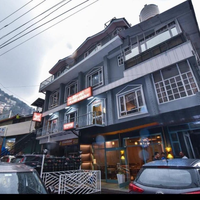 Hotel Avalanche 
