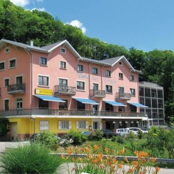 Logis Hotel-Restaurant Perle Des Vosges
