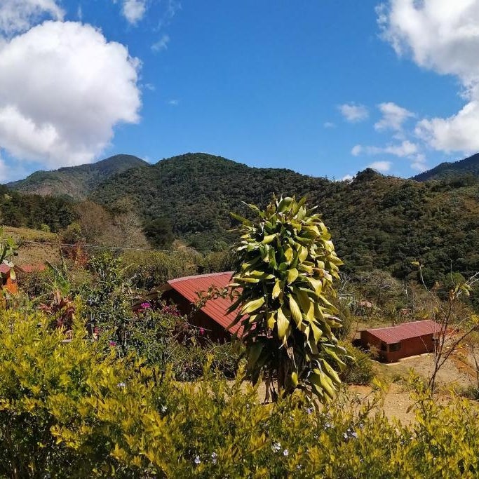 Mario´s Lodge Providencia Thumbnail