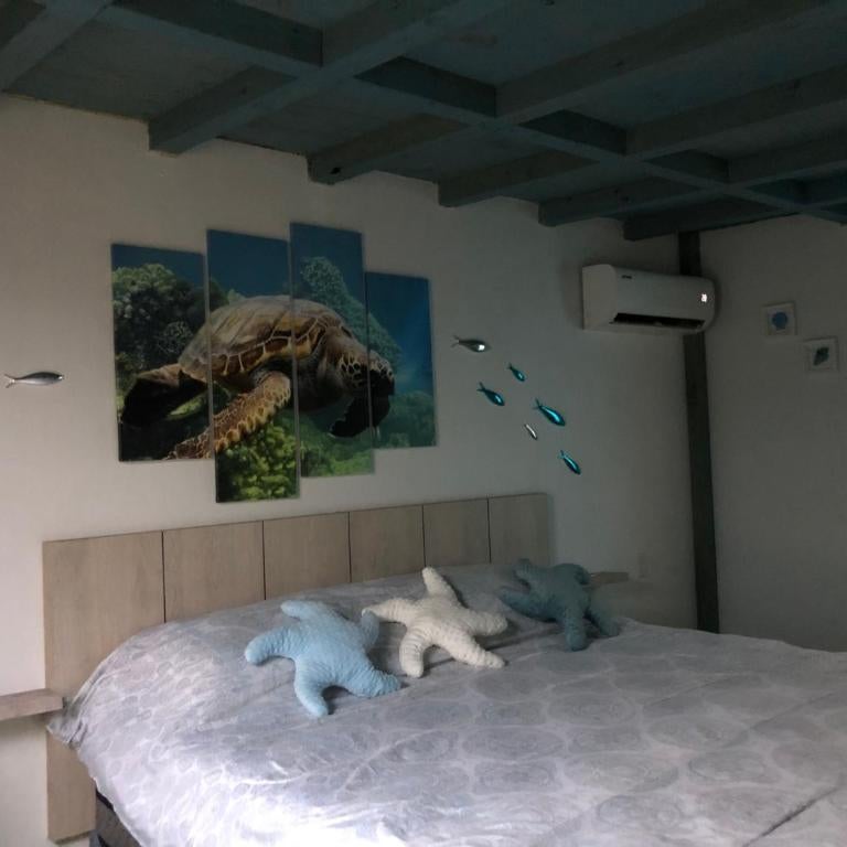 Aruba Local Stay Thumbnail