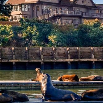 Noyo Harbor Inn Thumbnail