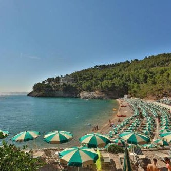 Hotel degli Ulivi
