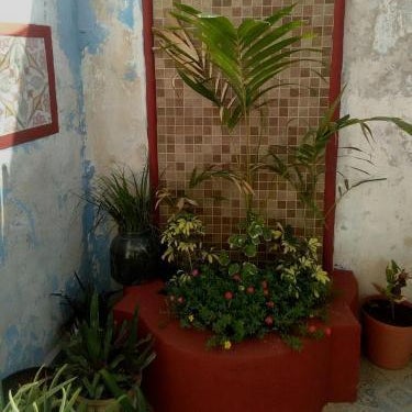 Balamku Hotel Petit Thumbnail