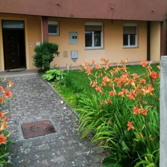 Bolek mansion