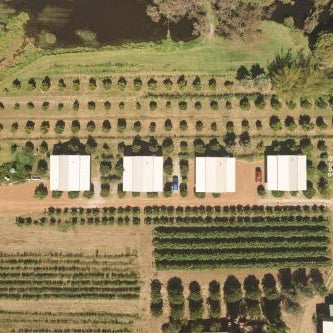 Swan Valley Sisters