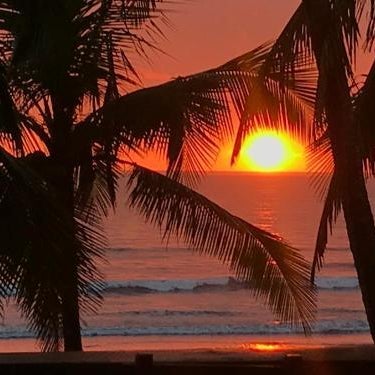 Gallina E Palo Beachfront Hotel Thumbnail