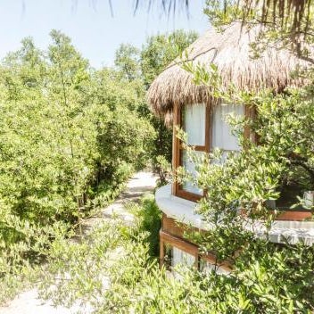 Mamasan Treehouses & Cabins Thumbnail