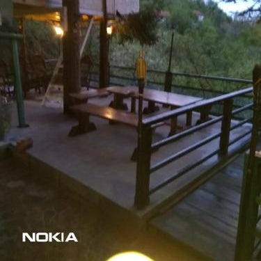 tree house