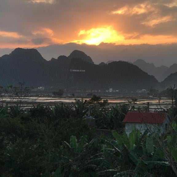 Happy field homestay Phong Nha