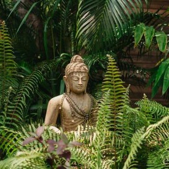 Mojigao - Eco Resort