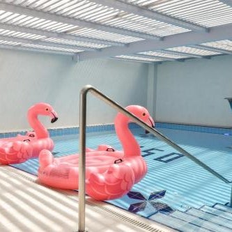 Flamingo Hotel