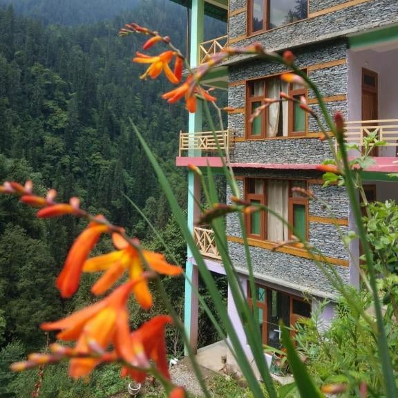 The Forest Pinnacle and Café, Jibhi