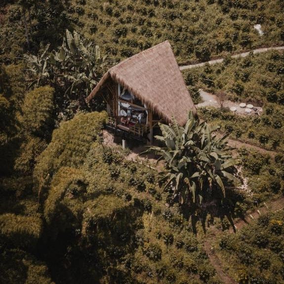 ATTRAVERSIAMO BAMBOO HOUSE Thumbnail