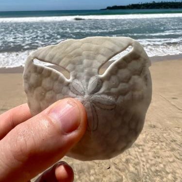 Relax Beach House Thumbnail