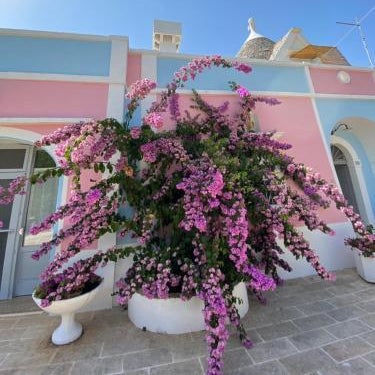 Masseria Trullo Sovrano Exclusive B&B