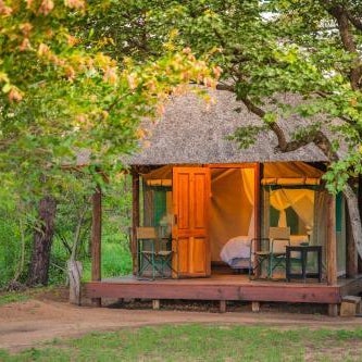 Shindzela Tented Camp Thumbnail