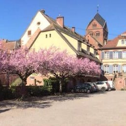 Logis Hôtel-Restaurant du Herrenstein