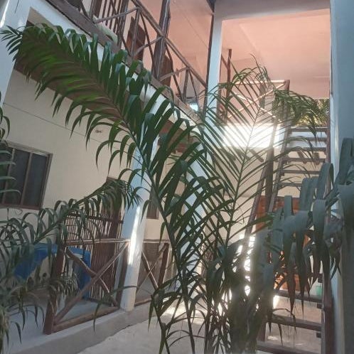 New Iddi Villa Thumbnail