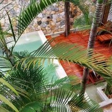 Hotel Casa Bamboo Thumbnail