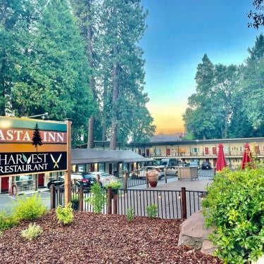 Shasta Inn Thumbnail
