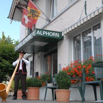 Hotel Alphorn Thumbnail