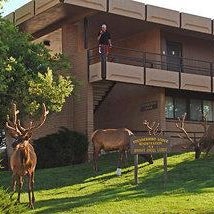 Kachina Lodge - Inside the Park Thumbnail