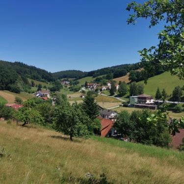 Hotel Grüner Baum mit Restaurant & Wellness