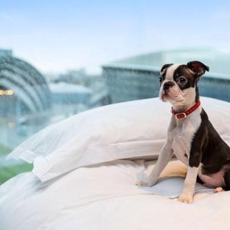 Radisson RED Hotel, Glasgow Thumbnail
